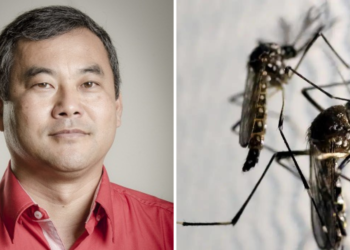 O Engenheiro Agrônomo, Prof. Flávio Irowaka, especialista em mercado e autor de vários artigos sobre manejo biológico em publicações especializadas. (Divulgação)