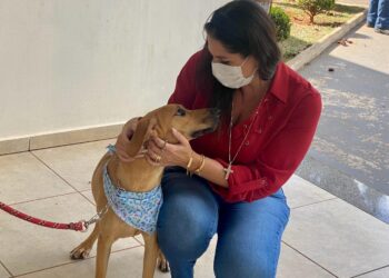 De acordo com a parlamentar, essa emenda deve permitir aos responsáveis por animais de estimação a dedução no IR. (Divulgação)