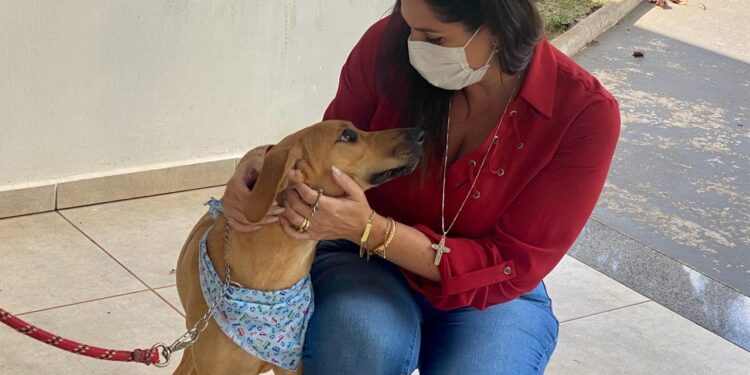 De acordo com a parlamentar, essa emenda deve permitir aos responsáveis por animais de estimação a dedução no IR. (Divulgação)