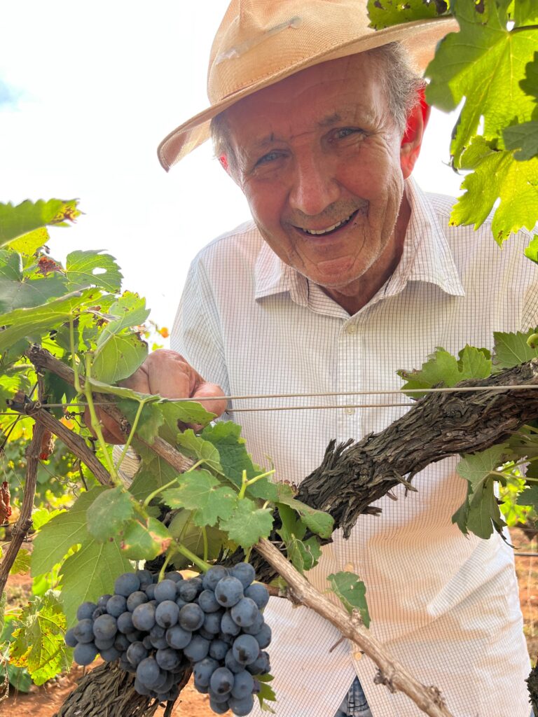 Sebastião Ferro produz 300 toneladas de uva para a produção de vinho ao ano. (Divulgação)