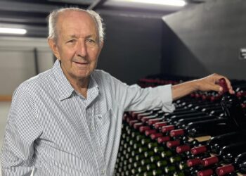 Sebastião Ferro produz 300 toneladas de uva para a produção de vinho ao ano. (Divulgação)