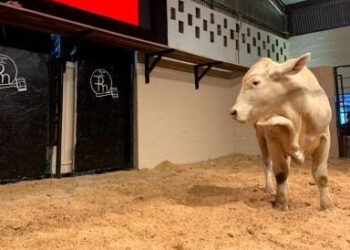 Considerada uma das festas mais tradicionais do Sudoeste Paulista, a ExpoAgro chega a sua 51ª edição com dezenas de atrações para agradar a todos os públicos.