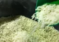 Arroz sendo despejado. Imagem por Marcello Casal JrAgência Brasil.