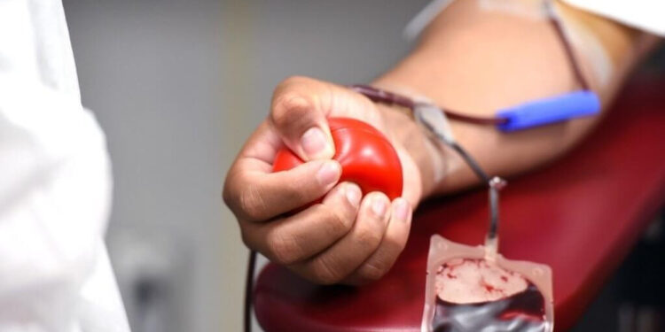 Doação de sangue. (Divulgação)