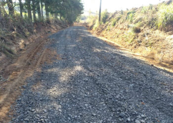 Estrada. (Divulgação)