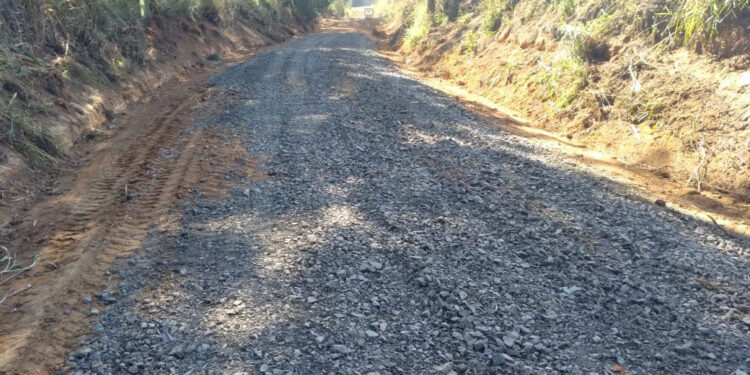 Estrada. (Divulgação)