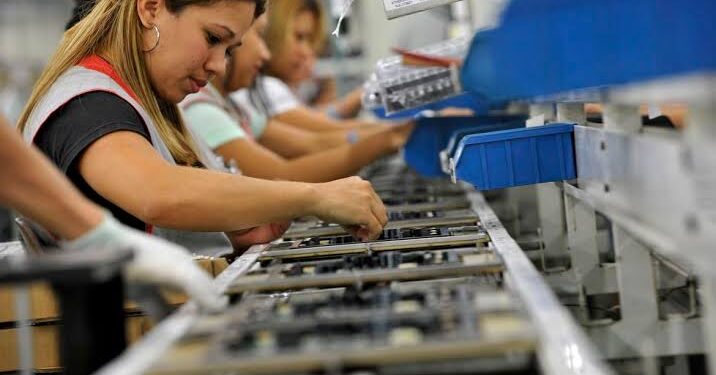 Pessoas trabalhando. (Divulgação)