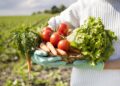 Em Itapetininga e Ribeirão Preto, o projeto será dividido em duas frentes de atuação: fortalecimento do empreendedorismo feminino e da agricultura familiar. (Divulgação)