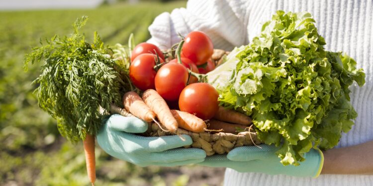 Em Itapetininga e Ribeirão Preto, o projeto será dividido em duas frentes de atuação: fortalecimento do empreendedorismo feminino e da agricultura familiar. (Divulgação)