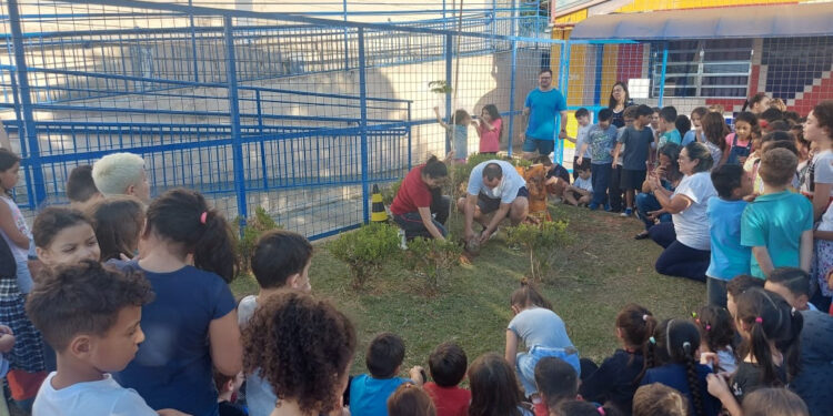 Alunos em palestra sobre educação ambiental. (Divulgação)