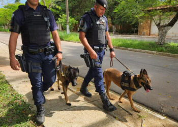 Guarda Civil Municipal de Itapetininga com cães. (Divulgação)