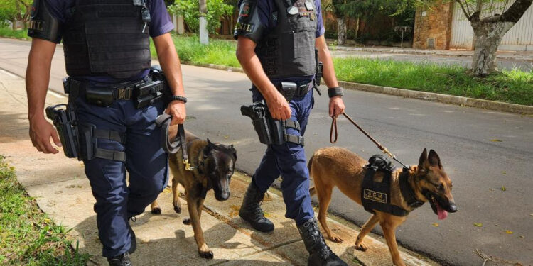 Guarda Civil Municipal de Itapetininga com cães. (Divulgação)