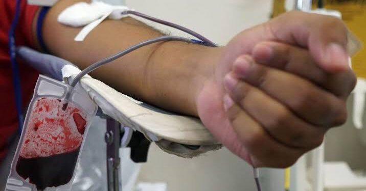 Doação de sangue. (Divulgação)
