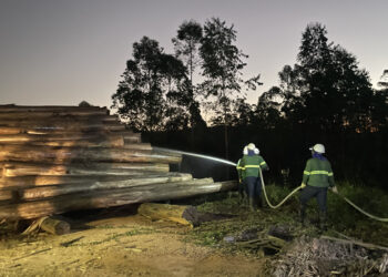 A Suzano ainda concentra suas ações na preparação de 140 brigadistas, que recebem treinamento contínuo. (Divulgação)