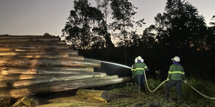 A Suzano ainda concentra suas ações na preparação de 140 brigadistas, que recebem treinamento contínuo. (Divulgação)