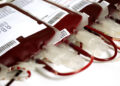 Bolsas de sangue. (Divulgação)