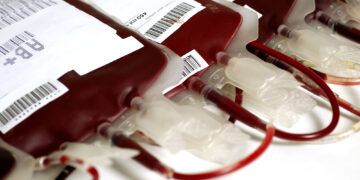 Bolsas de sangue. (Divulgação)