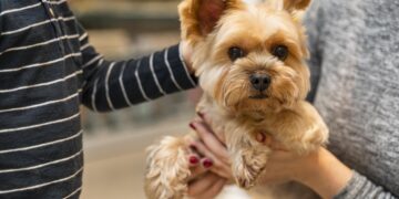 Mulher segurando um cachorro na loja de animais. (Freepik)