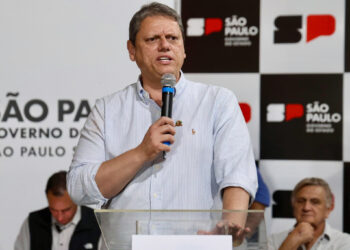 O governador Tarcísio de Freitas. (Celio Messias / Governo do Estado de SP)