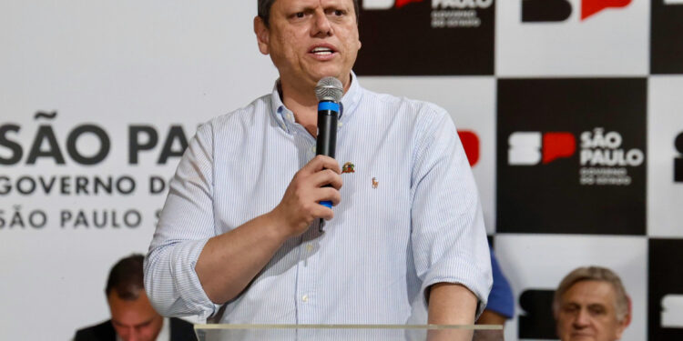 O governador Tarcísio de Freitas. (Celio Messias / Governo do Estado de SP)