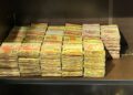 A operação envolveu o cumprimento de 10 mandados de busca e apreensão, com a participação de 56 policiais civis e agentes do GAECO. (Divulgação/Polícia Civil)