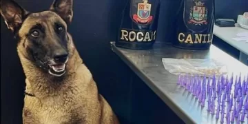 A operação envolveu equipes especializadas como a Força Tática do 22º BPM/I da Polícia Militar, com o apoio da equipe ROCAM (Rondas Ostensivas com Apoio de Motocicletas) e o Canil da GCM, com o auxílio do cão farejador Ákila. (Divulgação/Prefeitura de Itapetininga)