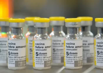 A febre amarela é transmitida pela picada de mosquitos silvestres. Um indicador de sua presença se dá com a morte de macacos, que também sofrem com altos índices de mortalidade quando contaminados. (Agência Brasil)