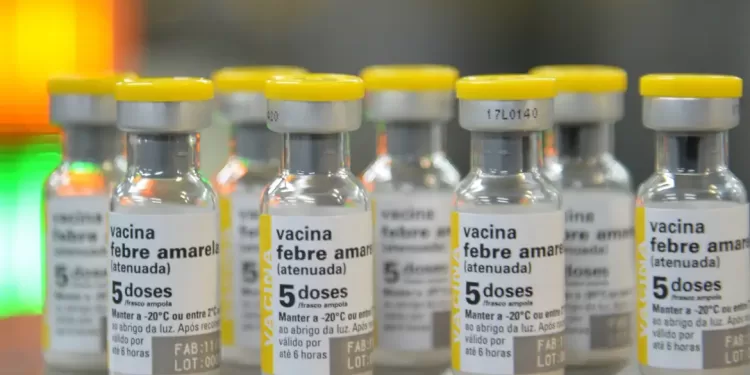 A febre amarela é transmitida pela picada de mosquitos silvestres. Um indicador de sua presença se dá com a morte de macacos, que também sofrem com altos índices de mortalidade quando contaminados. (Agência Brasil)