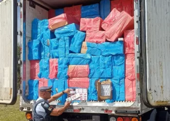 Durante a vistoria no veículo foram encontradas mil caixas de cigarros, que somaram um milhão de maços. Foto: SSP