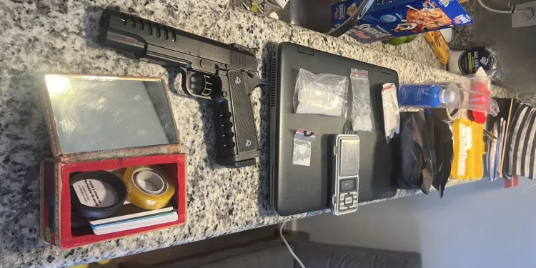 Esta foi uma das maiores operações do país contra uma máfia envolvida na produção de metanfetamina. (Divulgação/Secretaria da Segurança Pública)