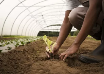 Itapetininga tem inscrições abertas para cursos gratuitos na área rural 