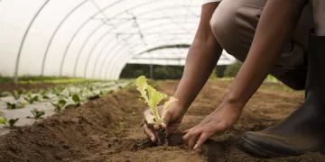 Itapetininga tem inscrições abertas para cursos gratuitos na área rural 