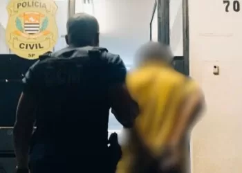 O indivíduo foi preso e conduzido ao Plantão Policial, onde permanece à disposição da Justiça para as providências legais cabíveis. (Divulgação)