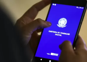 Serviço mais usado do governo federal, a Carteira de Trabalho Digital registrou mais de 724 milhões de acessos em 2024. (Agência Brasil)