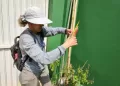 O objetivo do Mutirão é prevenir e combater a proliferação de possíveis focos do mosquito da dengue. (Divulgação)