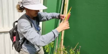 O objetivo do Mutirão é prevenir e combater a proliferação de possíveis focos do mosquito da dengue. (Divulgação)