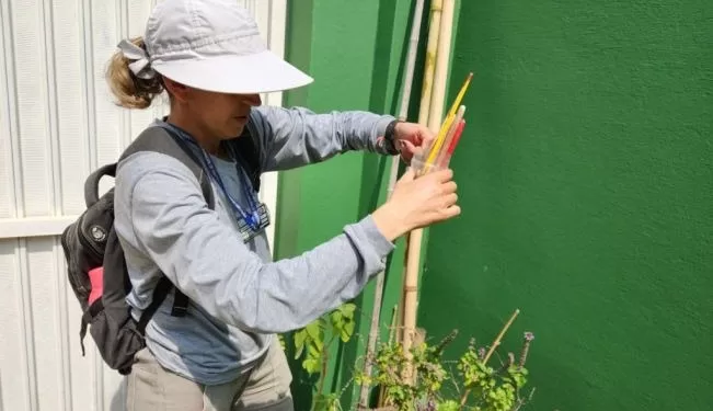 O objetivo do Mutirão é prevenir e combater a proliferação de possíveis focos do mosquito da dengue. (Divulgação)