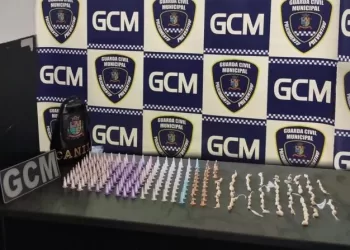 Ao todo, foram apreendidos 163 pinos de cocaína e 88 pedras de crack. (Divulgação)