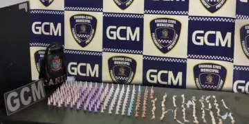 Ao todo, foram apreendidos 163 pinos de cocaína e 88 pedras de crack. (Divulgação)