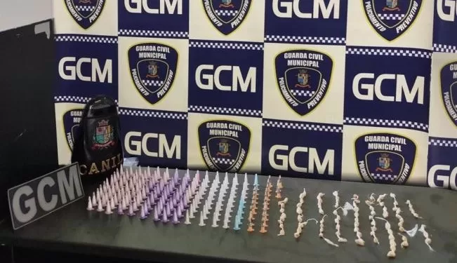 Ao todo, foram apreendidos 163 pinos de cocaína e 88 pedras de crack. (Divulgação)