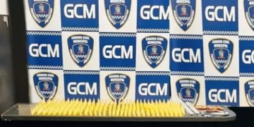 Ao todo, durante a abordagem, foram apreendidas 851 porções de drogas. (Divulgação)