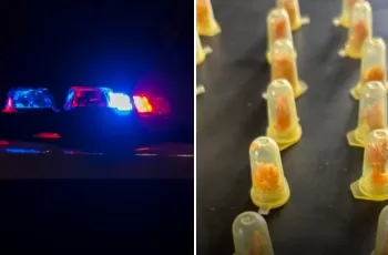 Durante a abordagem, os policiais encontraram em sua posse 24 porções de crack, configurando novamente o envolvimento em atividades ilícitas. (Divulgação)