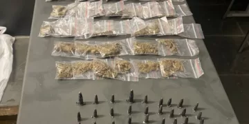 Na revista pessoal foram encontrados com ele R$ 95,00 em dinheiro, um aparelho celular e três papelotes de maconha. (Divulgação)