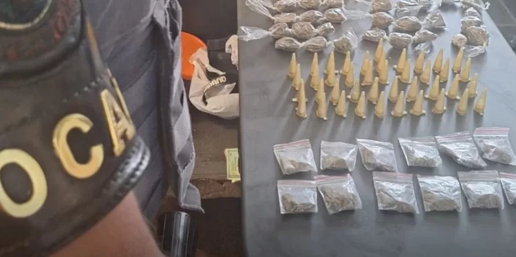 Ação da PM apreende drogas e desarticula esquema envolvendo menores de idade. (Divulgação)