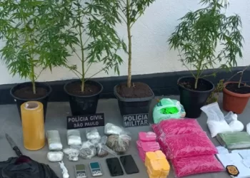 A PM localizou 5 pés de maconha plantados em vasos, 5 sacos com mil eppendorfs vazios, dinheiro, tijolos de maconha e outros materiais relacionados ao tráfico. (Divulgação/Polícia Militar)
