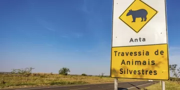 Para o Governo de São Paulo, a proteção à biodiversidade local nos trechos cortados por rodovias é um compromisso. Foto: Divulgação