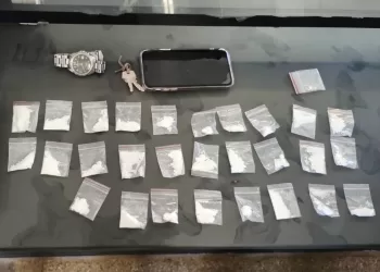 Foram encontrados 28 papelotes de cocaina e um celular. (Divulgação)