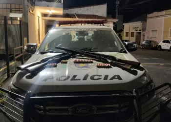 A Polícia Militar Ambiental tem um papel fundamental na fiscalização e proteção da fauna silvestre, coibindo a caça ilegal e o porte irregular de armas. (Divulgação)