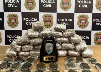 Dentro da mala, foram encontrados 24 pacotes de uma substância análoga à droga conhecida como "skank" e 20 invólucros com substância que se assemelha ao "haxixe". (Divulgação)