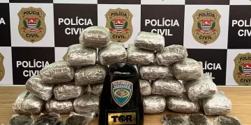 Dentro da mala, foram encontrados 24 pacotes de uma substância análoga à droga conhecida como "skank" e 20 invólucros com substância que se assemelha ao "haxixe". (Divulgação)